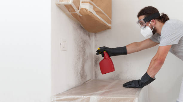 Professional Bathroom Mold Removal technician working in Vandalia, MI