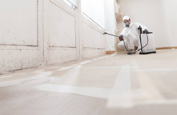 24/7 Emergency Bathroom Mold Removal experts in Vandalia, MI