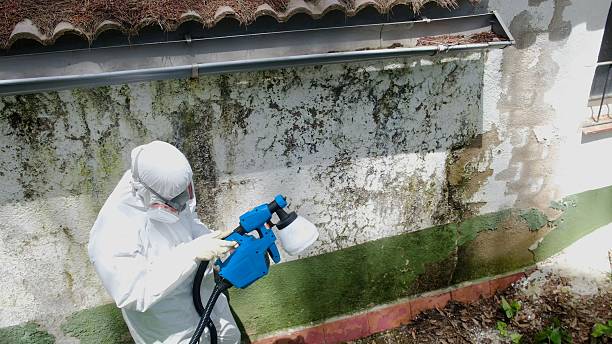 Top rated local Bathroom Mold Removal specialists in Vandalia, MI
